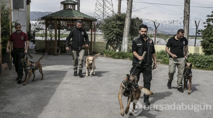 "Hassas burunlar" zehir tacirlerine geçit vermiyor
