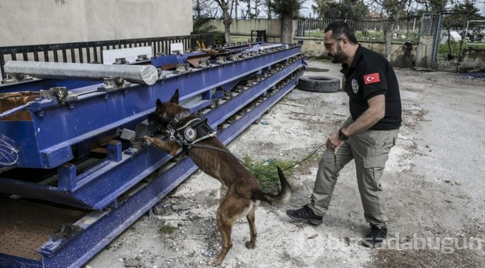 "Hassas burunlar" zehir tacirlerine geçit vermiyor
