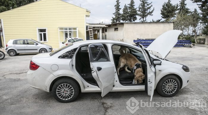 "Hassas burunlar" zehir tacirlerine geçit vermiyor

