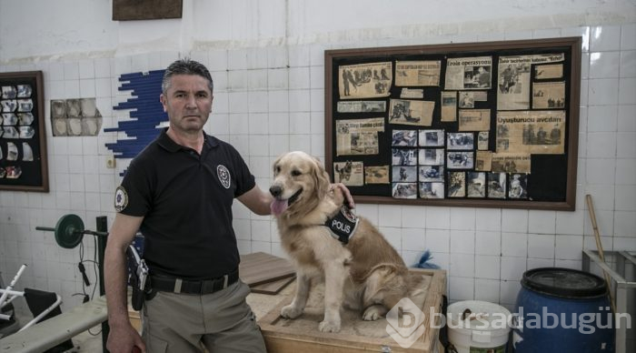 "Hassas burunlar" zehir tacirlerine geçit vermiyor
