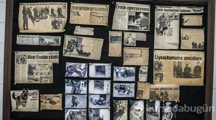"Hassas burunlar" zehir tacirlerine geçit vermiyor
