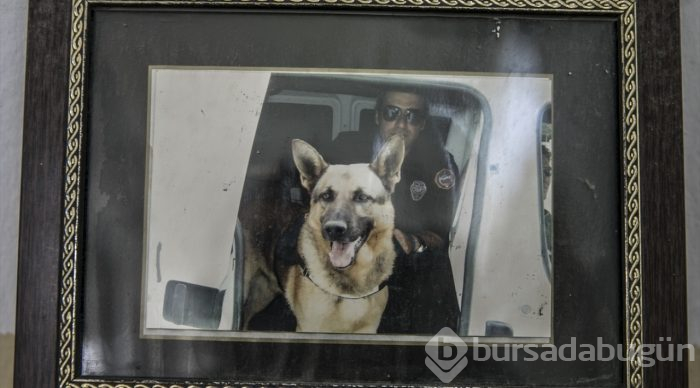 "Hassas burunlar" zehir tacirlerine geçit vermiyor
