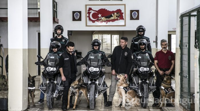 "Hassas burunlar" zehir tacirlerine geçit vermiyor
