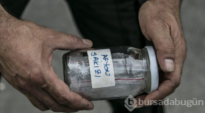 "Hassas burunlar" zehir tacirlerine geçit vermiyor
