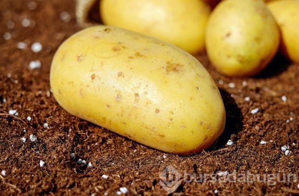 Patatesin kabuğunu sakın çöpe atmayın!
