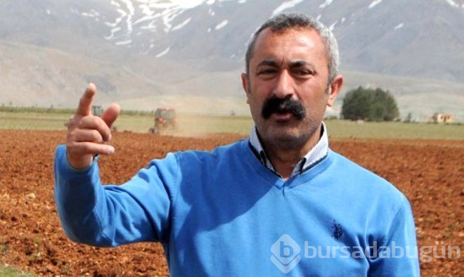 Tunceli'yi alan Komünist Başkan Mehmet Fatih Maçoğlu'nun, asıl mesleğine bakın!