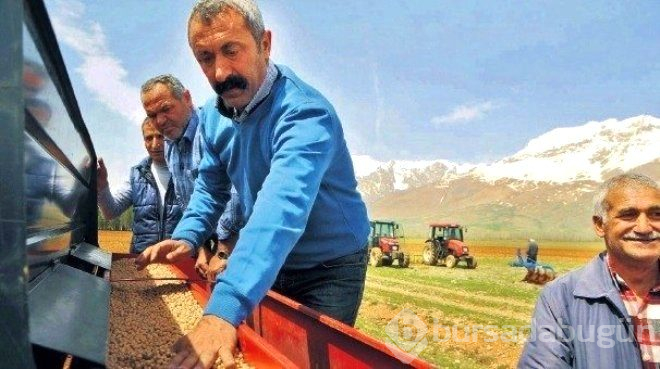 Tunceli'yi alan Komünist Başkan Mehmet Fatih Maçoğlu'nun, asıl mesleğine bakın!