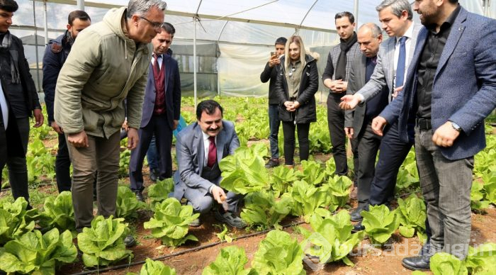 "Ata tohumları" öğrencilerin elinde hayat bulacak

