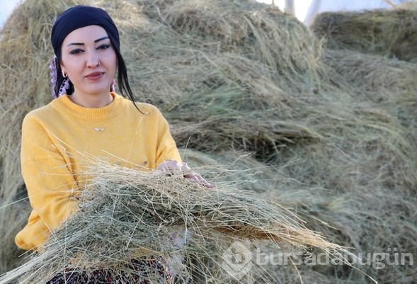 Öğretmen olacaktı köyüne muhtar oldu
