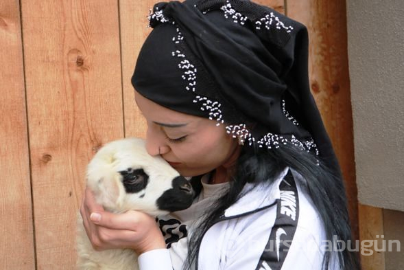 Öğretmen olacaktı köyüne muhtar oldu
