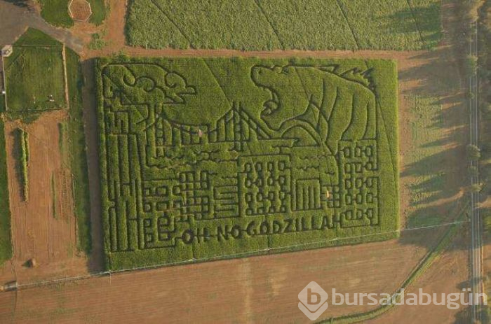 Günün en çok paylaşılan fotoğrafları (03.04.2019)