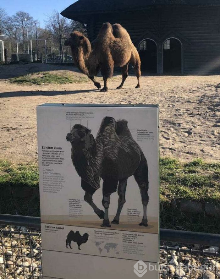 Günün en çok paylaşılan fotoğrafları (03.04.2019)