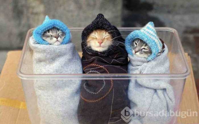 Günün en çok paylaşılan fotoğrafları (03.04.2019)