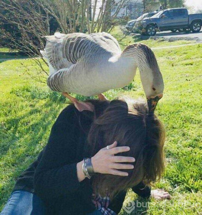 Günün en çok paylaşılan fotoğrafları (03.04.2019)