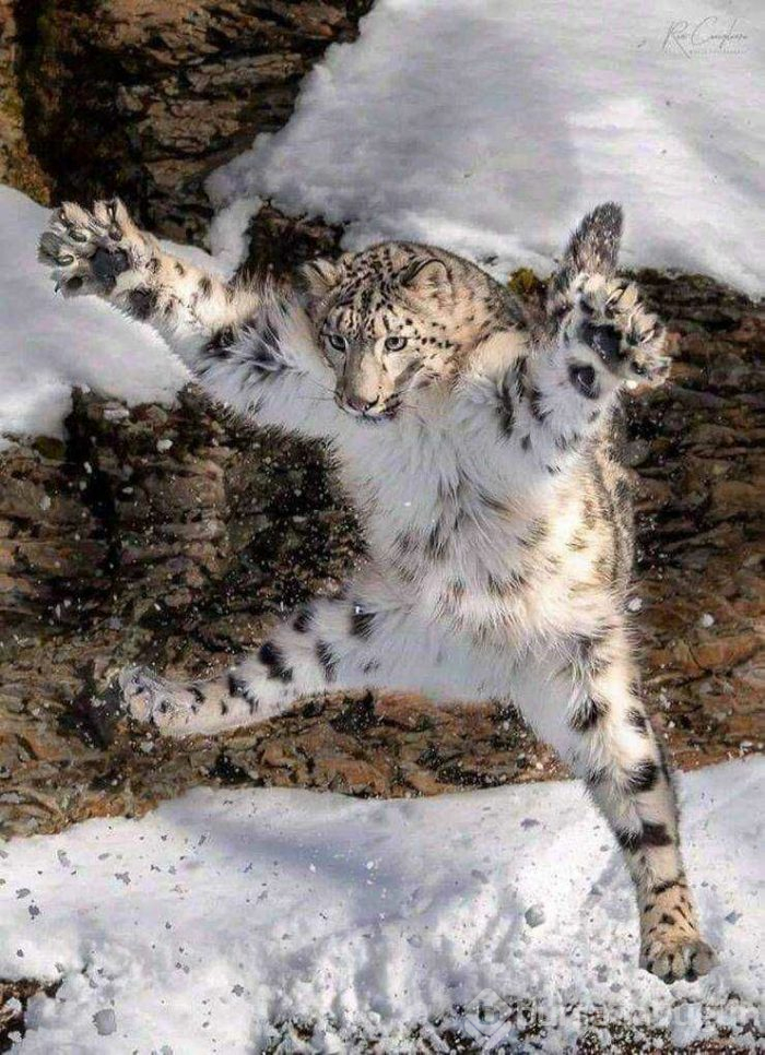 Günün en çok paylaşılan fotoğrafları (03.04.2019)