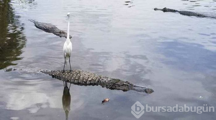 Günün en çok paylaşılan fotoğrafları (03.04.2019)