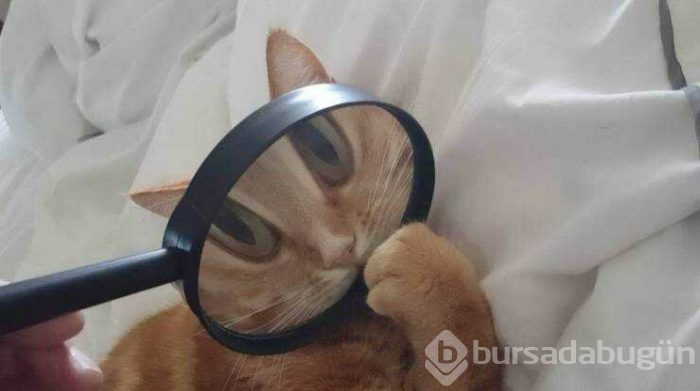 Günün en çok paylaşılan fotoğrafları (03.04.2019)