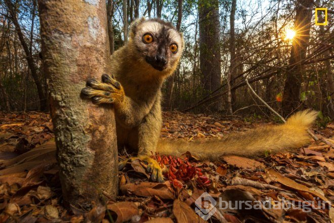 İncecik ip üzerinde ölüme meydan okudu! İşte National Geographic en iyi seyahat temalı fotoğraf yarışmasından kareler