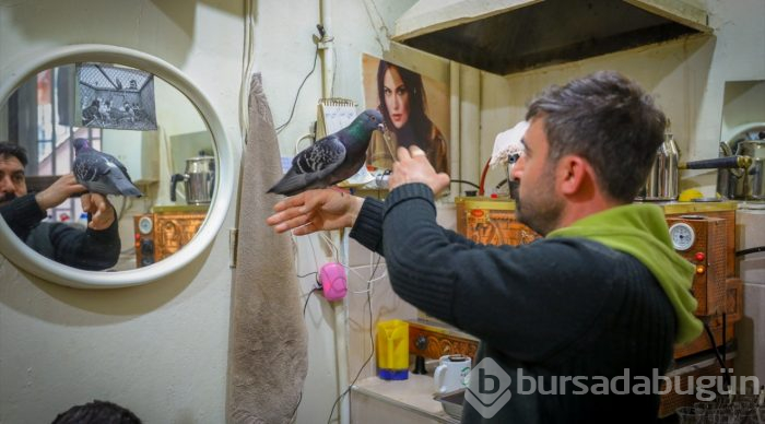 Çay ocağını kuşlar için yuvaya dönüştürdü
