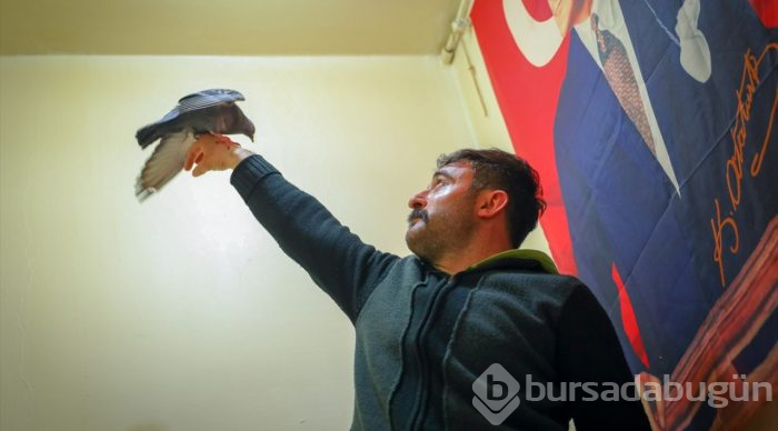 Çay ocağını kuşlar için yuvaya dönüştürdü
