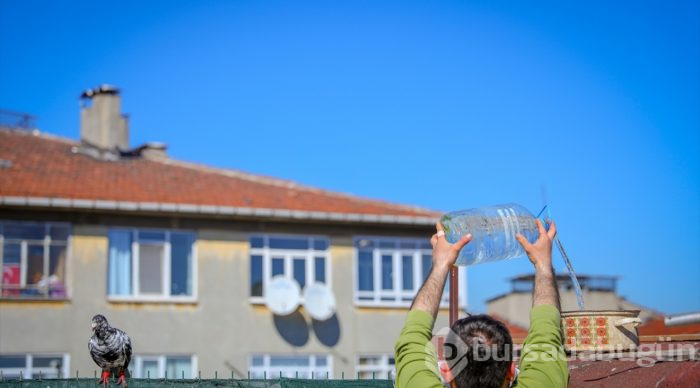 Çay ocağını kuşlar için yuvaya dönüştürdü
