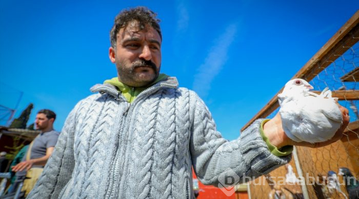 Çay ocağını kuşlar için yuvaya dönüştürdü
