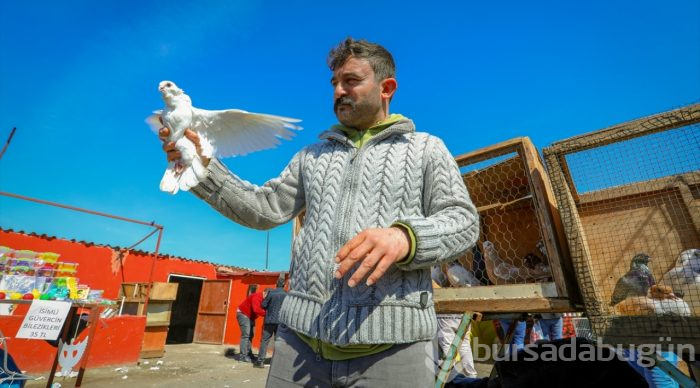 Çay ocağını kuşlar için yuvaya dönüştürdü
