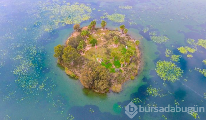 Kuş cenneti Gölbaşı turizme kazandırılacak
