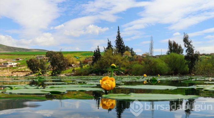 Kuş cenneti Gölbaşı turizme kazandırılacak
