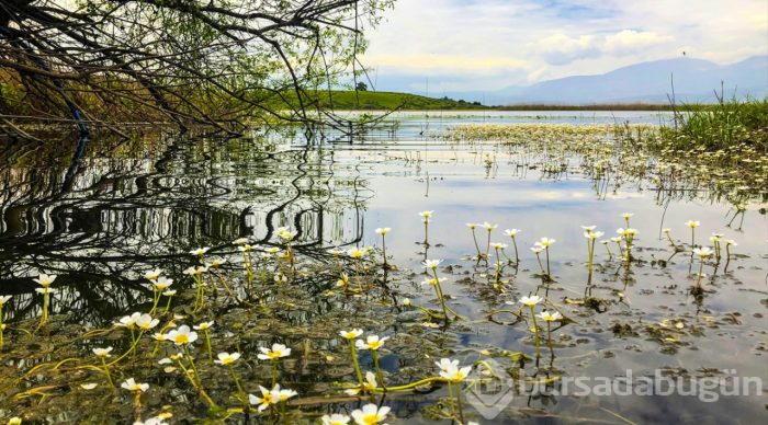 Kuş cenneti Gölbaşı turizme kazandırılacak
