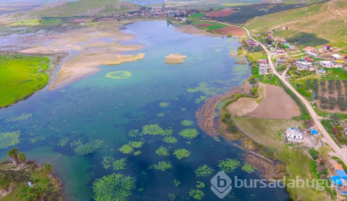 Kuş cenneti Gölbaşı turizme kazandırılacak
