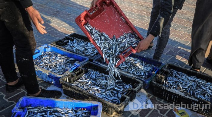 İsrail'in, Gazze'de balık avlama mesafesini artırması
