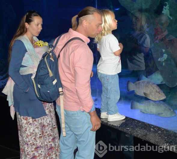 Ukraynalı çiftin, dünya turunda çocukları dünyaya geldi
