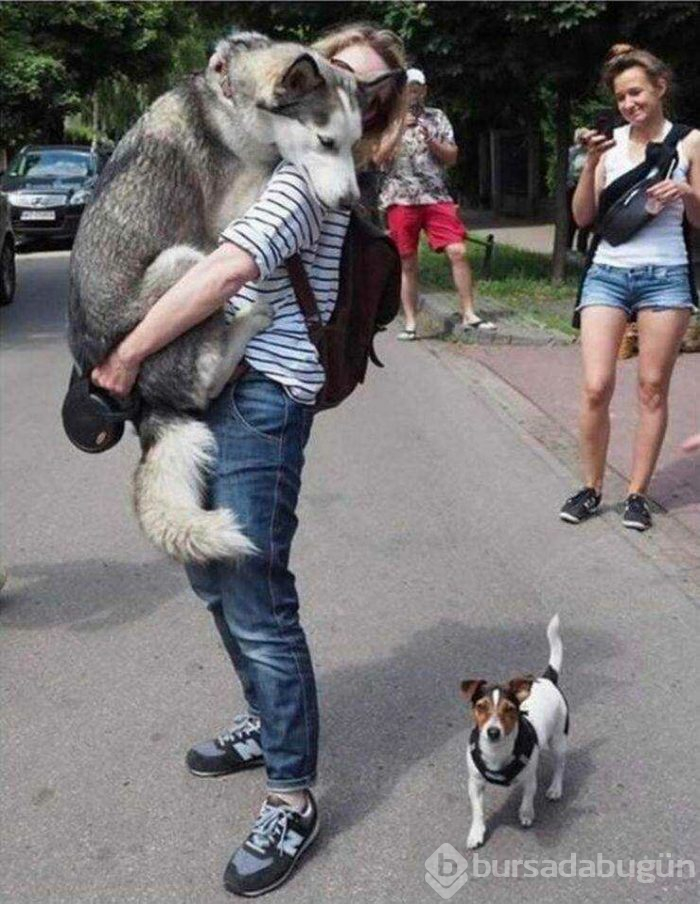 Günün en çok paylaşılan fotoğrafları (04.04.2019)
