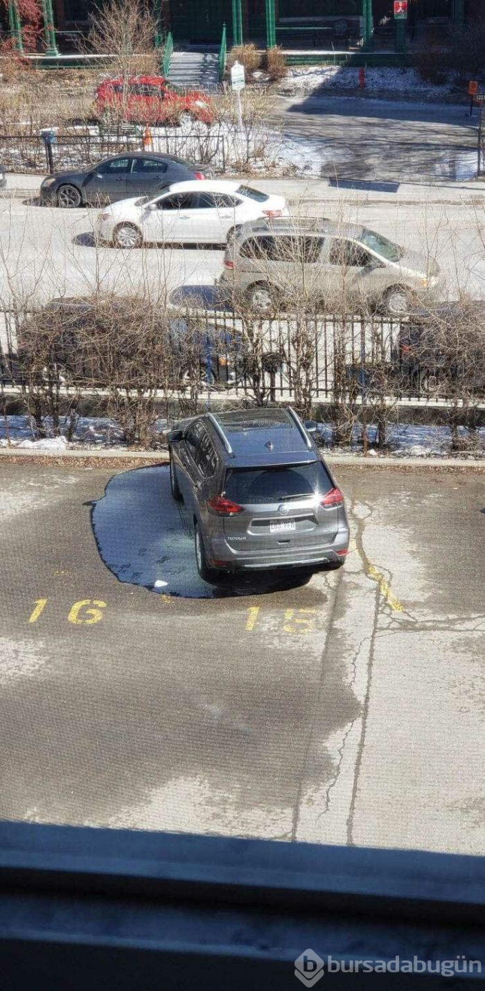 Günün en çok paylaşılan fotoğrafları (04.04.2019)