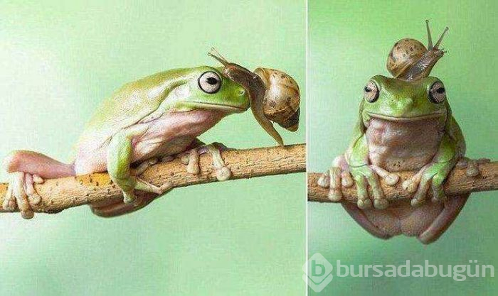 Günün en çok paylaşılan fotoğrafları (04.04.2019)