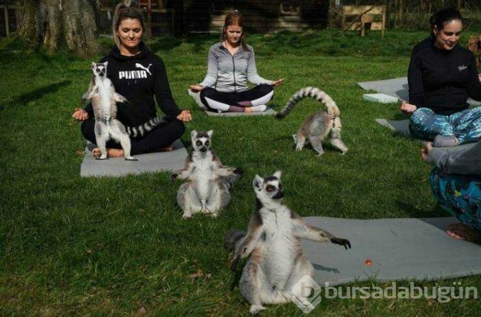 Günün en çok paylaşılan fotoğrafları (04.04.2019)