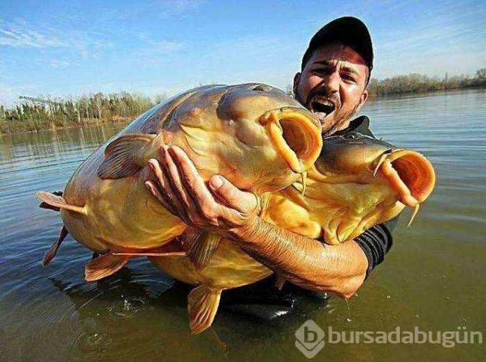 Günün en çok paylaşılan fotoğrafları (04.04.2019)