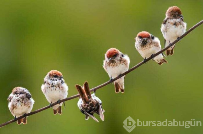 Günün en çok paylaşılan fotoğrafları (04.04.2019)