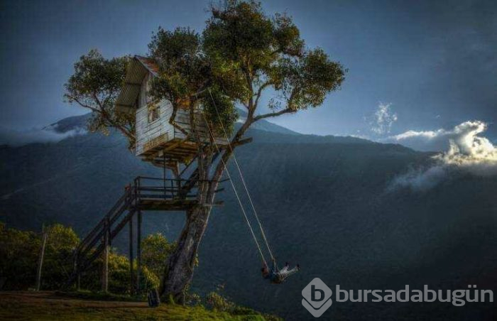 Günün en çok paylaşılan fotoğrafları (04.04.2019)