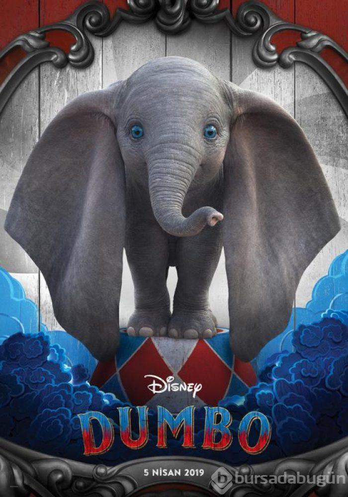 Dumbo
