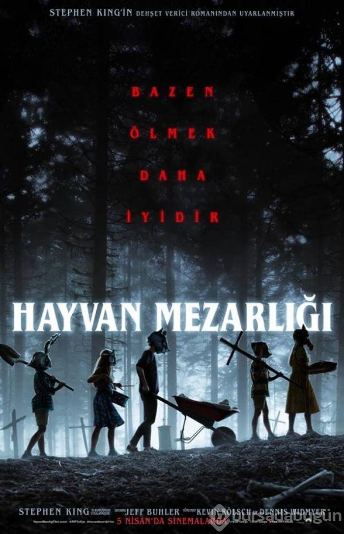 Hayvan Mezarlığı
