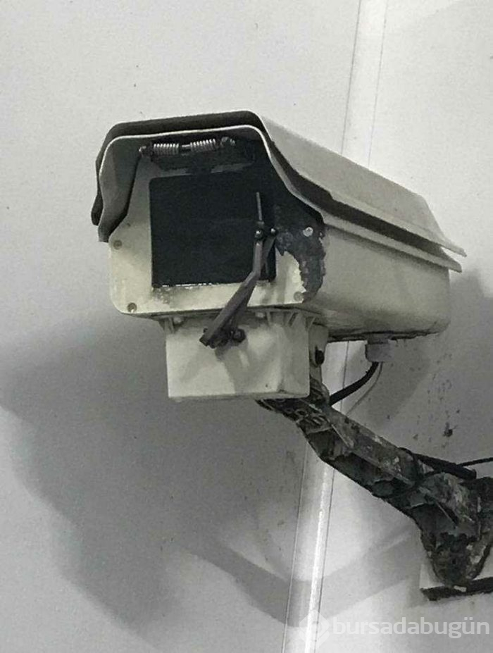 Günün en çok paylaşılan fotoğrafları (05.04.2019)