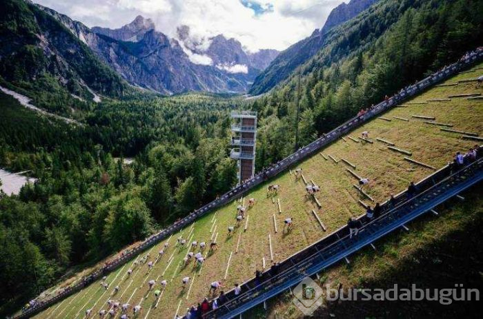 Günün en çok paylaşılan fotoğrafları (05.04.2019)