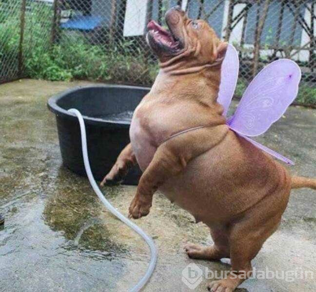 Günün en çok paylaşılan fotoğrafları (05.04.2019)