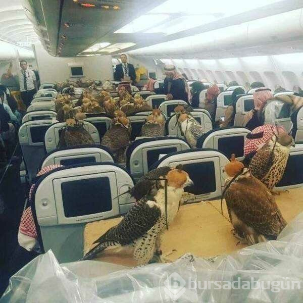 Günün en çok paylaşılan fotoğrafları (05.04.2019)