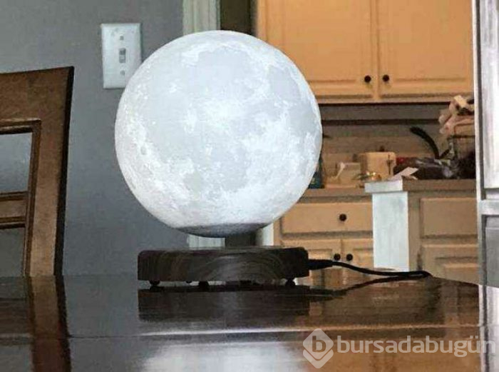 Günün en çok paylaşılan fotoğrafları (05.04.2019)