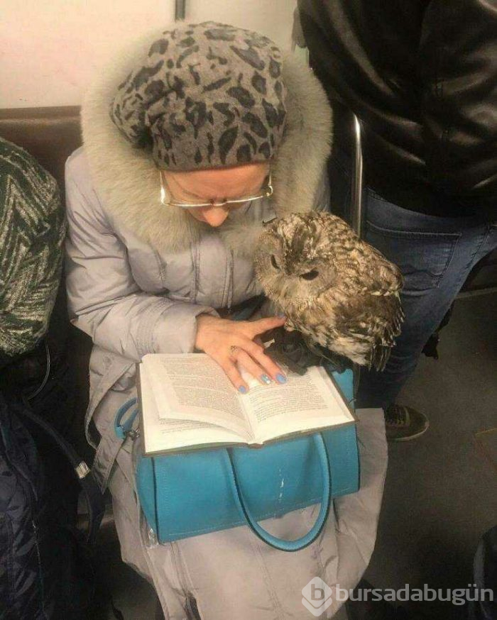 Günün en çok paylaşılan fotoğrafları (05.04.2019)
