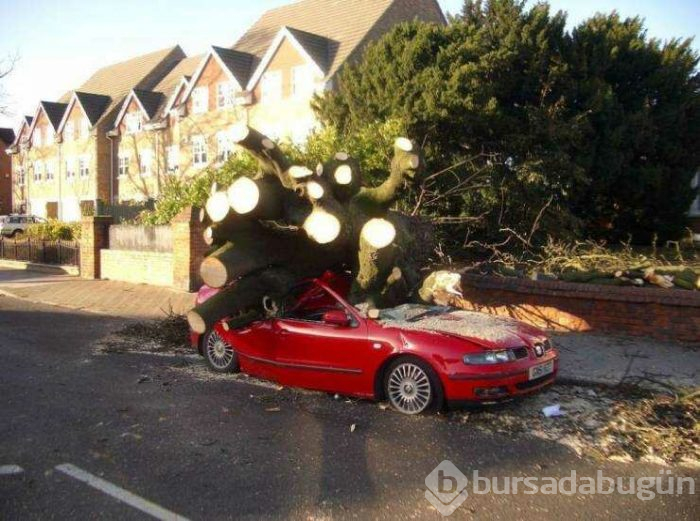 Günün en çok paylaşılan fotoğrafları (05.04.2019)