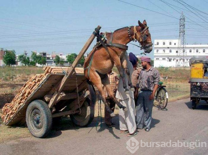 Günün en çok paylaşılan fotoğrafları (05.04.2019)